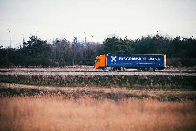 Jakie są częste błędy przy organizowaniu transportu