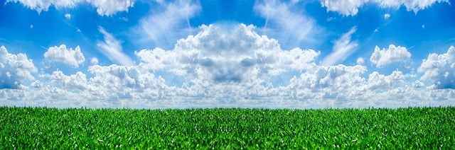 Ile kosztuje wynajem busa? Rzeczywiste ceny, pułapki i nieoczywiste oszczędności