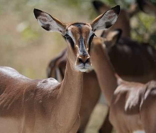 Apartament z kuchnią zalety – oszczędność i swoboda podczas pobytu