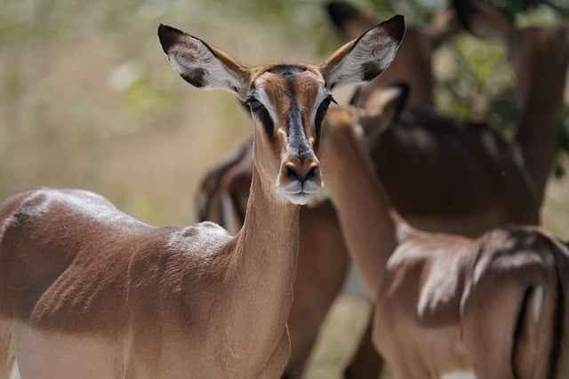 Apartament z kuchnią zalety – oszczędność i swoboda podczas pobytu