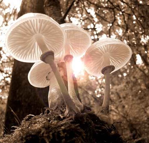 Czy farba epoksydowa pęka na betonie – jak zapobiec uszkodzeniom