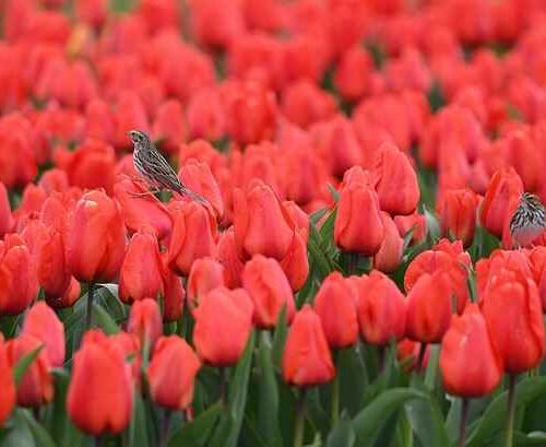 Jakie dokumenty są potrzebne do wynajmu kampera w Polsce – wymogi i lista